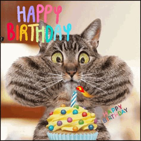 happy birthday gof|Funny Happy Birthday GIF Collection